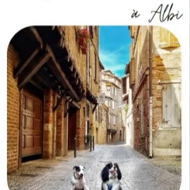 All-Tourismus in Albi, gute Angebote