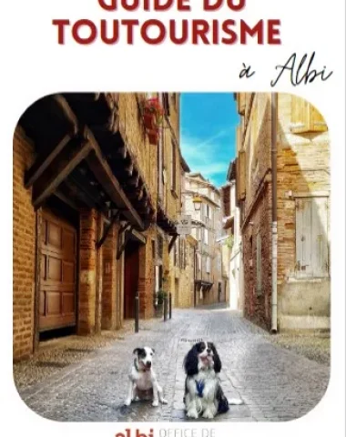 All-Tourismus in Albi, gute Angebote
