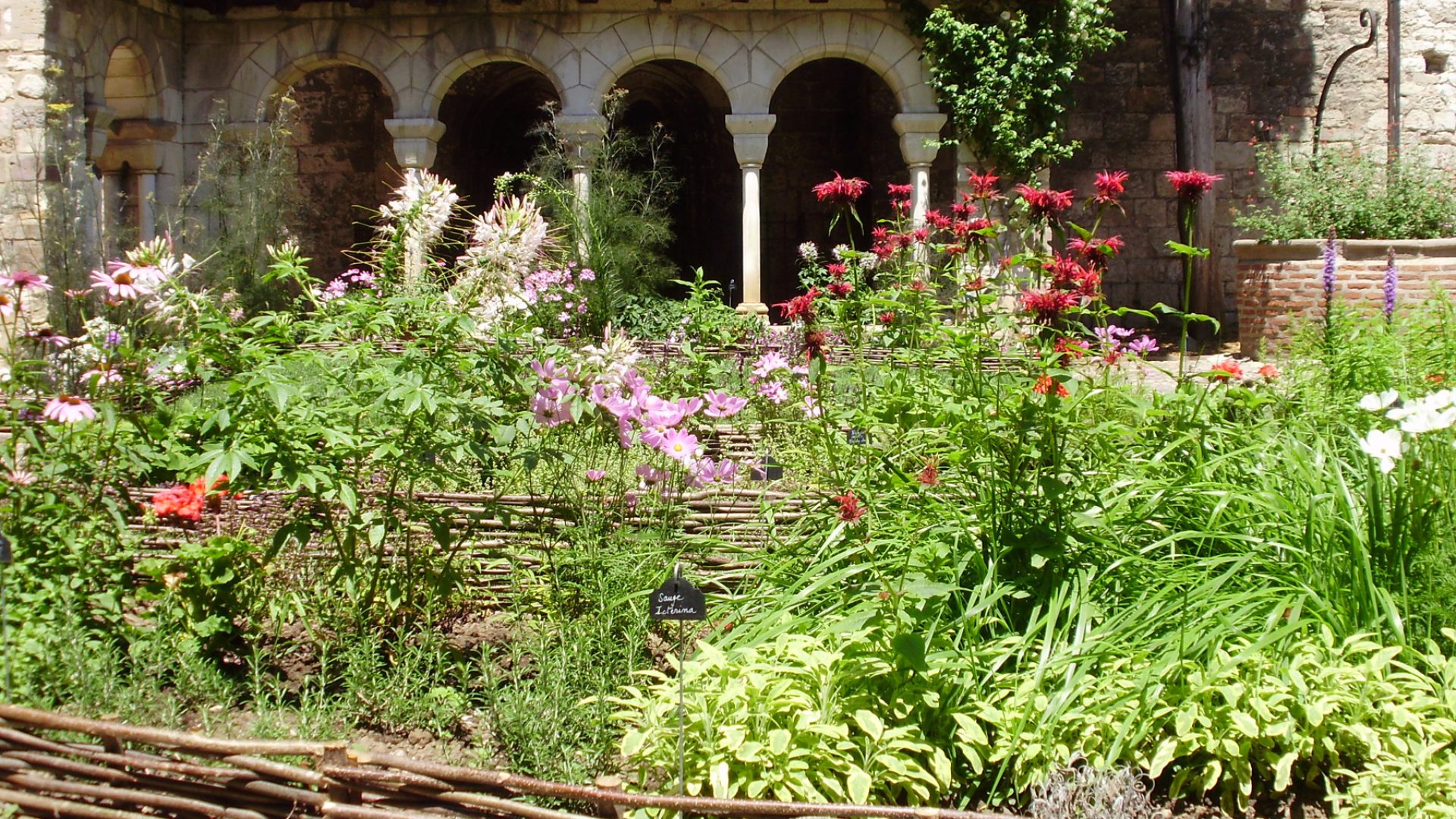 Albi El jardín del claustro de Saint-Salvi - el jardín de hierbas