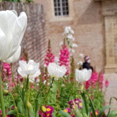 Albi el Palacio Berbie y sus jardines, entrada al palacio con macizos de flores