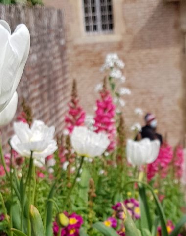 Albi der Berbie-Palast und seine Gärten, Eingang zum Palast mit Blumenbeeten