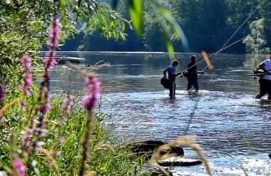 Pesca en el río Tarn en el valle del Tarn