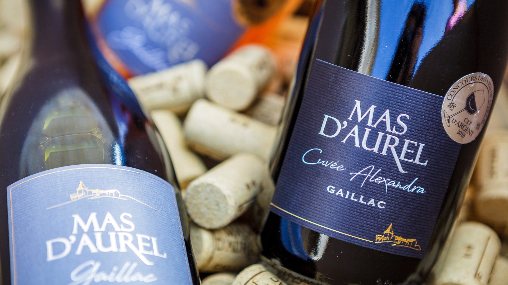 Very close to Albi, the thousand-year-old vineyard of Gaillac - visit the winegrowers