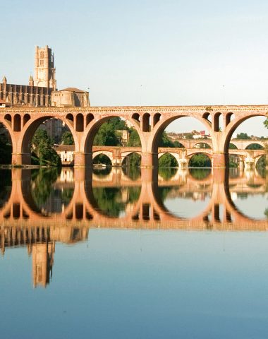 Albi, brick town at the foot of the Tarn river - panoramic view