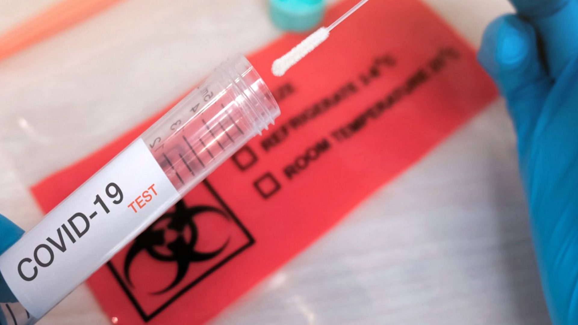 Do an antigen or PCR test in Albi