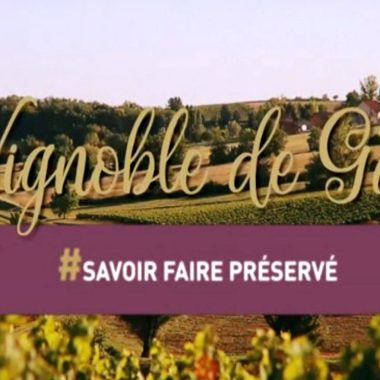 De Gaillac-wijngaard, bewaarde knowhow