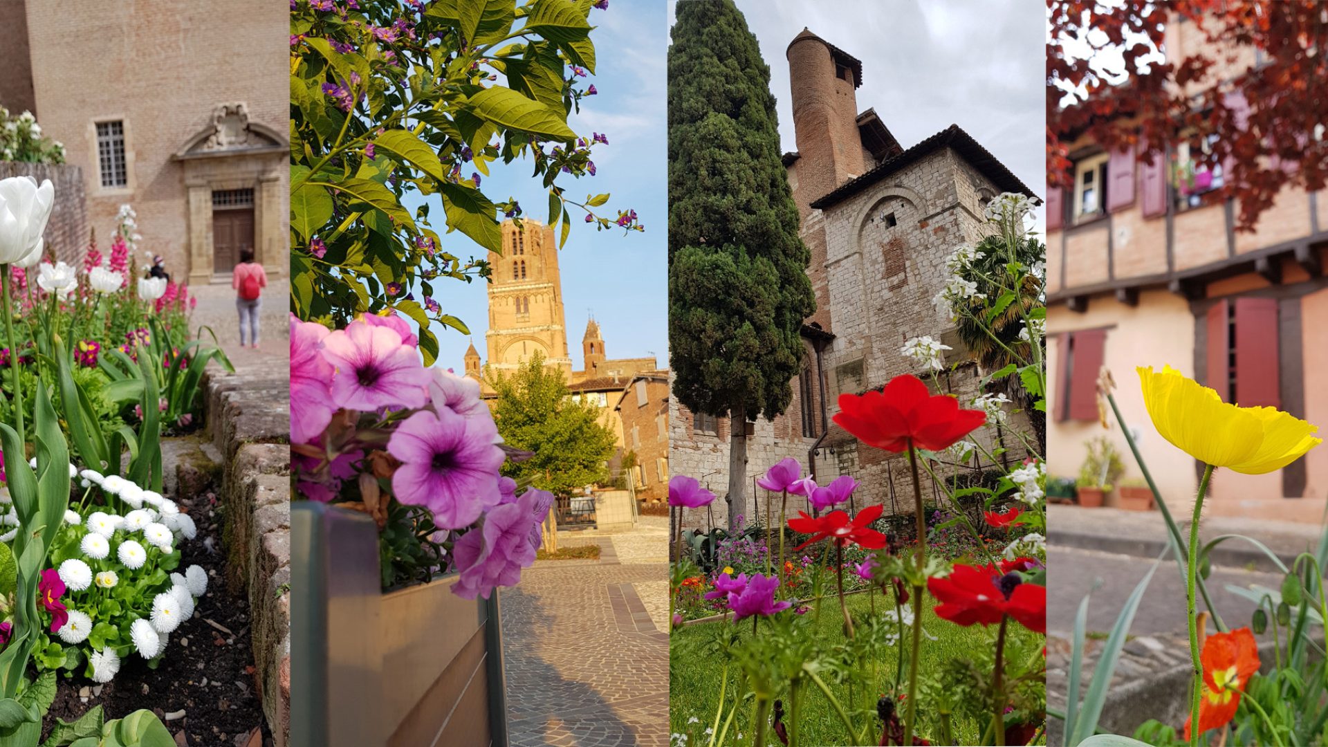 Ciutat florida d'Albi, etiquetada 4 flors